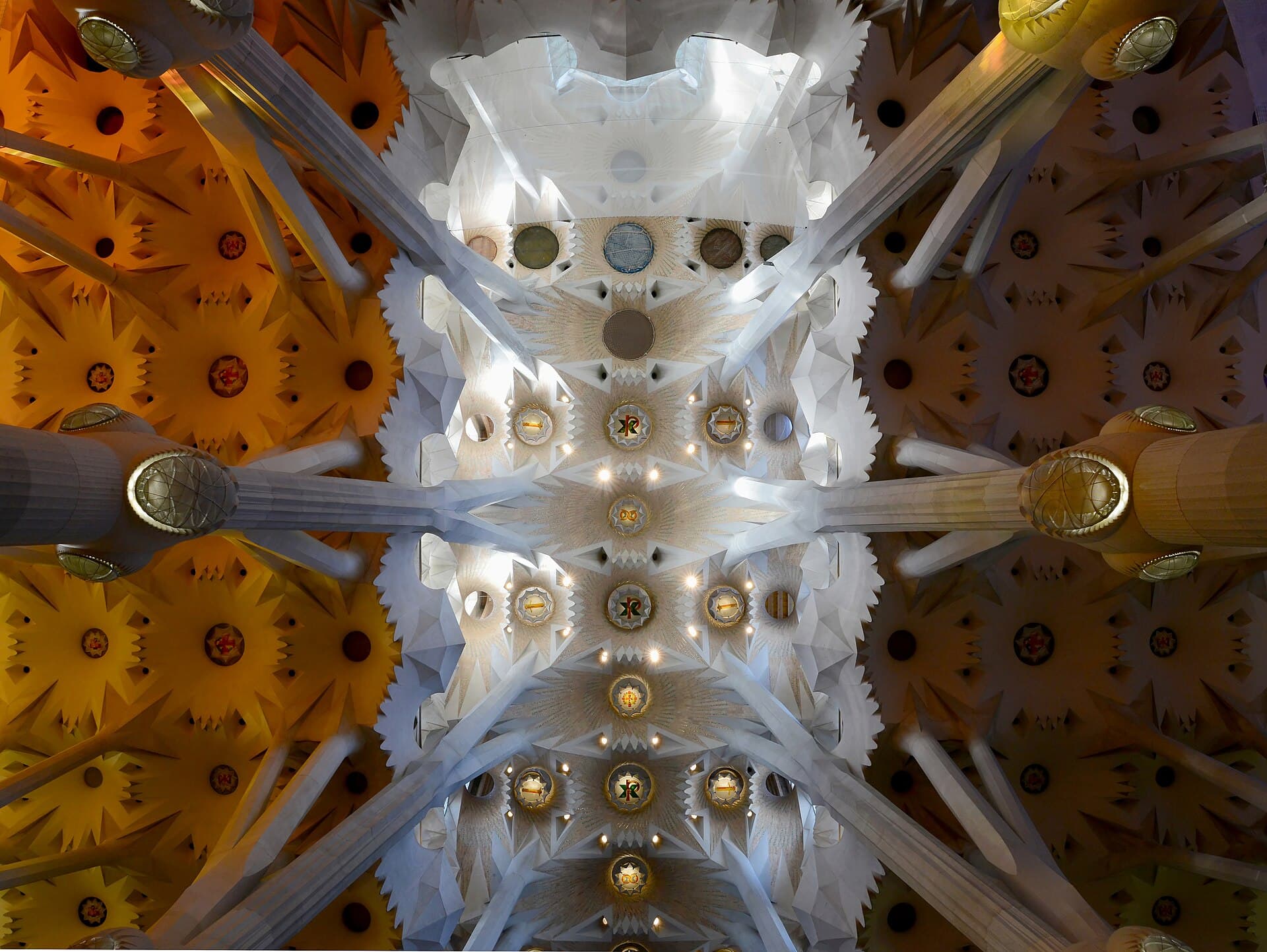 Looking up at the columns and star-patterned ceiling inside the Sagrada Família in Barcelona