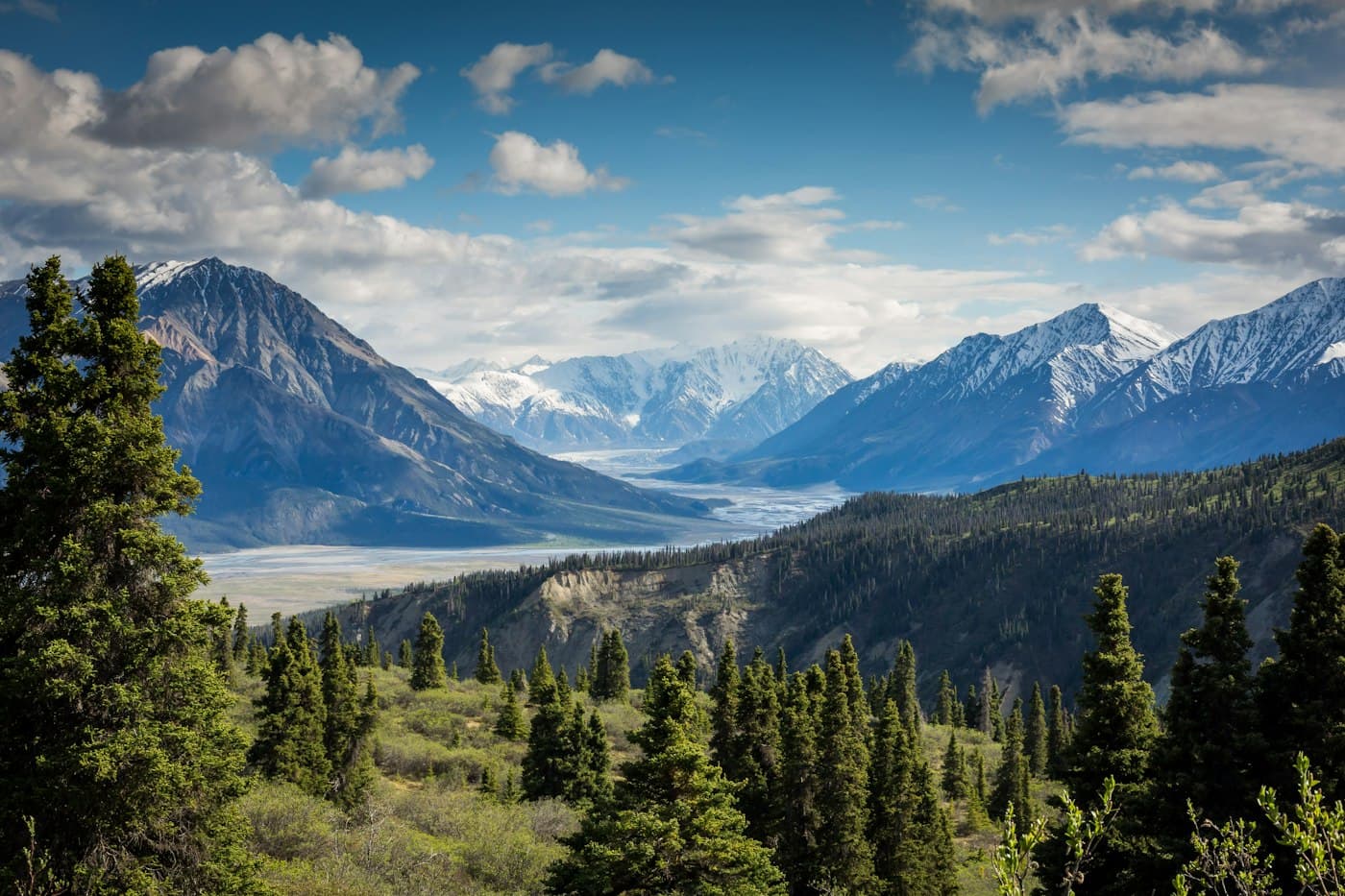 A forested valley leading toward snow-covered mountains